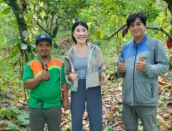Peneliti Asal Afrika Lakukan Studi Lapangan di Perkebunan Kakao Desa Taramanu Tua, Tutar