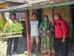 PDI Perjuangan Lamongan Hidupkan Semangat Kartini Lewat Aksi Nyata: Perempuan Jadi Garda Depan Ketahanan Pangan Keluarga*