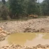 PETI di Pasaman Barat Disorot, Penegakan Hukum Jadi Sorotan