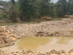 PETI Masih Bebas Beroperasi di Pasaman Barat, Kinerja APH Dipertanyakan