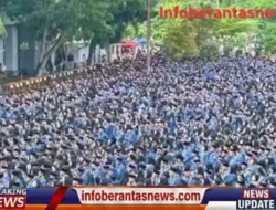 PPPK Pemprov Sulbar Dipastikan Tak Terima Gaji ke-13, Anggaran Tidak Tersedia di APBD 2026