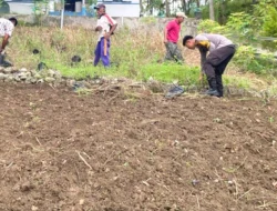 Bhabinkamtibmas Polsek Banggae Turun Tangan Bersihkan Lahan, Dorong Ketahanan Pangan Warga