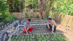 Bhabinkamtibmas Polsek Pamboang Aktif Dampingi Kebun Dasawisma, Dorong Ketahanan Pangan Warga Mongeare