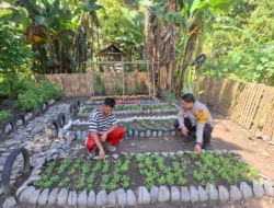 Bhabinkamtibmas Polsek Pamboang Aktif Dampingi Kebun Dasawisma, Dorong Ketahanan Pangan Warga Mongeare