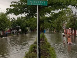 Hujan Singkat Guyur Polewali, Genangan Air Kembali Terjadi di Sejumlah Titik