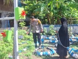 Bhabinkamtibmas Polsek pamboang Pantau Pemanfaatan Pekarangan Warga, Dukung Ketahanan Pangan Nasional di Desa Adolang Dhua