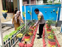 Bhabinkamtibmas Polsek Banggae Gelorakan Ketahanan Pangan Lewat Kebun Hortikultura di Kelurahan Labuang