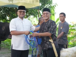 17 Sapi dan 33 Kambing Disembelih, Polda Sulbar Bagikan Daging Qurban untuk Personel dan Masyarakat