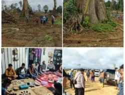 MASYARAKAT ADAT DAYAK BASAB ULAYAT JANTUI, KESULTANAKERUKUNANN SAMBALIUNG, DAN SABANG MERAH BORNEO KECAM PT. TRIDAYA HUTAN LESTARI (THL): HUKUM ADAT DILECEHKAN, AKSI MASSA SIAP DIGELAR!*