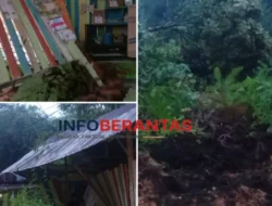 PAUD Tunas Baru Rantepalado Tertimbun Longsor, Aktivitas Belajar Terhenti
