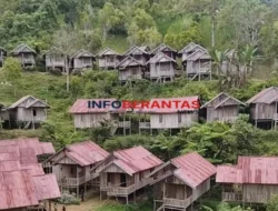 Kampung Terindah di Tutar Polman, Suasana Pedesaan Asli Masih Sangat Asri Meski Tanpa Listrik
