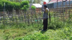 Pantau Kebun Mentimun, Bhabinkamtibmas Polsek Pamboang Dukung Swasembada Pangan
