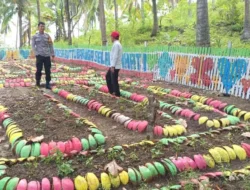 Bhabinkamtibmas Polsek Banggae Aktif Pantau Kebun PKK, Dukung Ketahanan Pangan di Desa Buttu Baruga