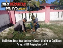 Bhabinkamtibmas Desa Bumimulyo Tanam Bibit Durian Duri Hitam Peringati HUT Bhayangkara ke-80