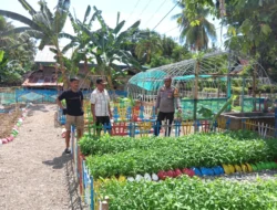Pantau Kebun Hortikultura KWT Lombong Timur, Bhabinkamtibmas Polsek Malunda Dukung Ketahanan Pangan Nasional