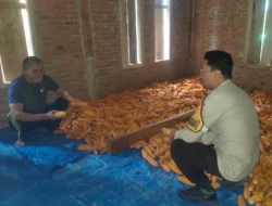 Dukung Ketahanan Pangan, Aipda Henra Rahmad YR Pantau Hasil Panen Jagung Warga Binaan