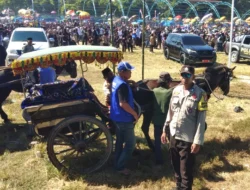 Arak-Arakan Kuda Hias Meriahkan Penamatan SD/MI se-Kecamatan Sendana, Polsek Sendana Siaga Amankan Kegiatan