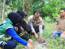 Wujud Kepedulian Lingkungan, Wakapolres Majene Tanam Pohon Bersama Warga Sambut Hari Bhayangkara ke-80