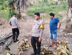 Polsek Tapalang Bubarkan Praktik Judi Sabung Ayam di Lereng Gunung, Pelaku Keburu Kabur