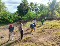 Dukung Ketahanan Pangan, Bhabinkamtibmas Polsek Pamboang Perkuat Sinergi dengan Petani Melalui Penanaman Jagung