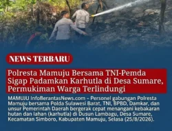 Polresta Mamuju Bersama TNI-Pemda Sigap Padamkan Karhutla di Desa Sumare, Permukiman Warga Terlindungi