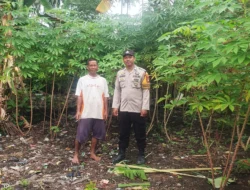 Bhabinkamtibmas Polsek Sendana Aktif Dampingi Warga, Pantau Perkembangan Tanaman Ubi untuk Dukung Ketahanan Pangan