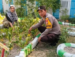 Lewat Kebun Dasawisma, Bhabinkamtibmas Polsek Banggae Perkuat Ketahanan Pangan Warga