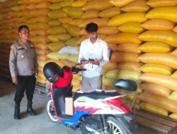 Kapolsek Sendana Salurkan 2 Ton Jagung Hasil Panen Kelompok Tani ke Bulog Majene