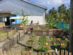 Bhabinkamtibmas Polsek Pamboang Pantau Lahan P2L, Pare dan Kangkung Jadi Penopang Ketahanan Pangan Desa