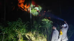 Lahan 3 Hektare terbakar, Polsek Pamboang dan Damkar Siaga Cegah Api Merembet ke Permukiman