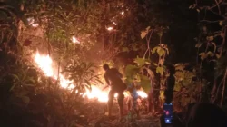 Kebakaran Lahan Kembali Terjadi di Desa Lalatedzong, Polsek Sendana Bergerak Cepat Padamkan Api