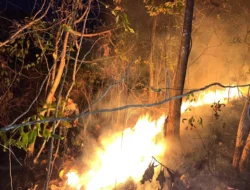Kebakaran Lahan di Beroangin, Damkar dan Satgas Karhutla Terkendala Medan