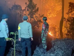Babinsa dan Bhabinkamtibmas Kecamatan Nosu Turun Langsung Padamkan Api, Cegah Kebakaran Meluas