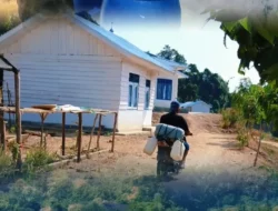 Musim Kemarau, Warga Transmigrasi Taramanu Tua Terpaksa Ambil Air di Sungai Mandar