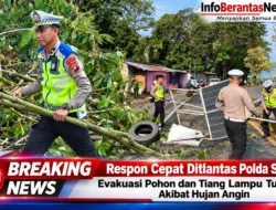 Respon Cepat Ditlantas Polda Sulbar Evakuasi Pohon dan Tiang Lampu Tumbang Akibat Hujan Angin