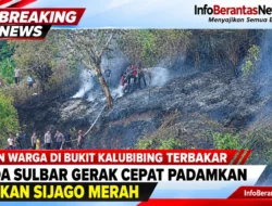 Kebun Warga di Bukit Kalubibing Terbakar, Polda Sulbar Gerak Cepat Padamkan Amukan Sijago Merah