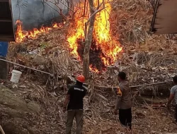 Api Membakar Dua Hektare Lahan di Sulai, Polsek Malunda Bersama Warga Turun Padamkan Api
