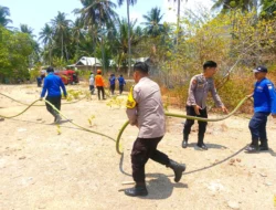 Polsek Pamboang Bersama Warga dan Damkar Bergerak Cepat Padamkan Kebakaran Lahan di Lalampanua