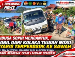 Diduga Sopir Mengantuk, Mobil dari Kolaka Tujuan Nosu Nyaris Terperosok ke Sawah di Desa Batupapan, Warga Bergerak Cepat Lakukan Evakuasi