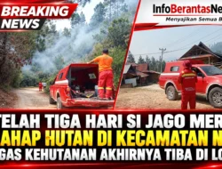 SETELAH TIGA HARI SI JAGO MERAH MELAHAP HUTAN DI KECAMATAN NOSU, PETUGAS KEHUTANAN AKHIRNYA TIBA DI LOKASI