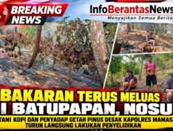 KEBAKARAN TERUS MELUAS DI BATUPAPAN, NOSU, PETANI KOPI DAN PENYADAP GETAH PINUS DESAK KAPOLRES MAMASA TURUN LANGSUNG LAKUKAN PENYELIDIKAN