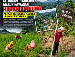 WARGA DESA TARAMANU TUA KACAMATAN TUTAR KELUHKAN PEMUKIMAN MASUK KAWASAN HUTAN LINDUNG, PETANI TERBATAS KELOLA LAHAN PERTANIAN
